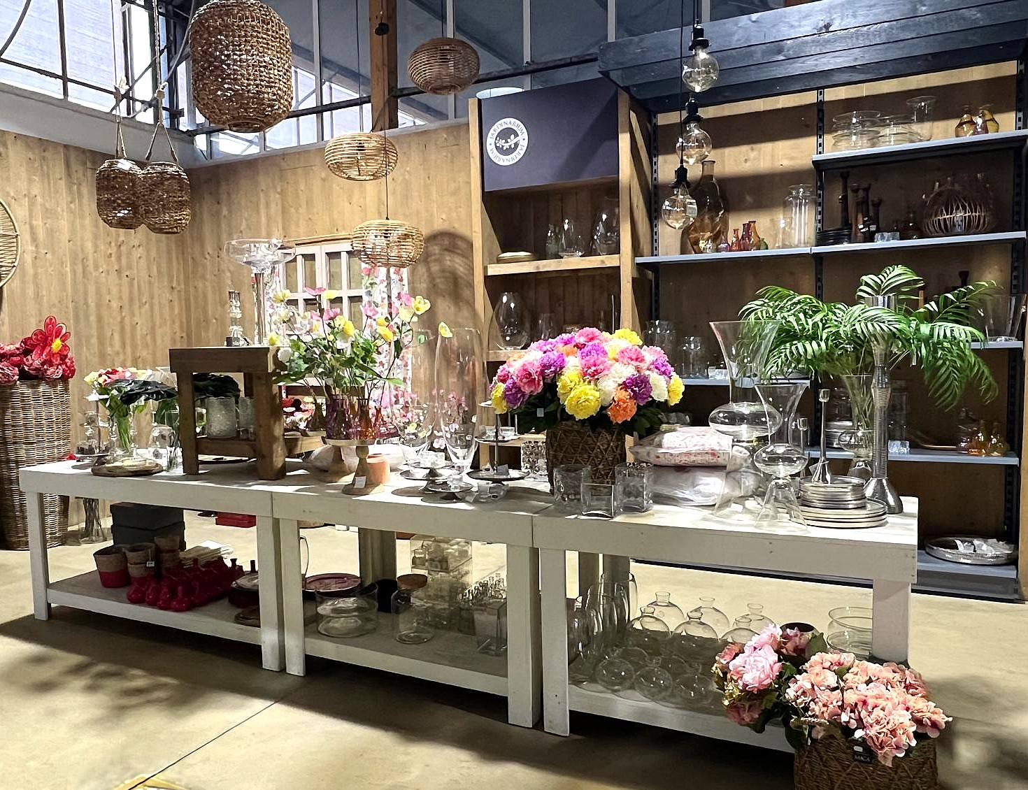 Imagen de WhatsApp 2025-04-09 a las 23.29.47_31f39884